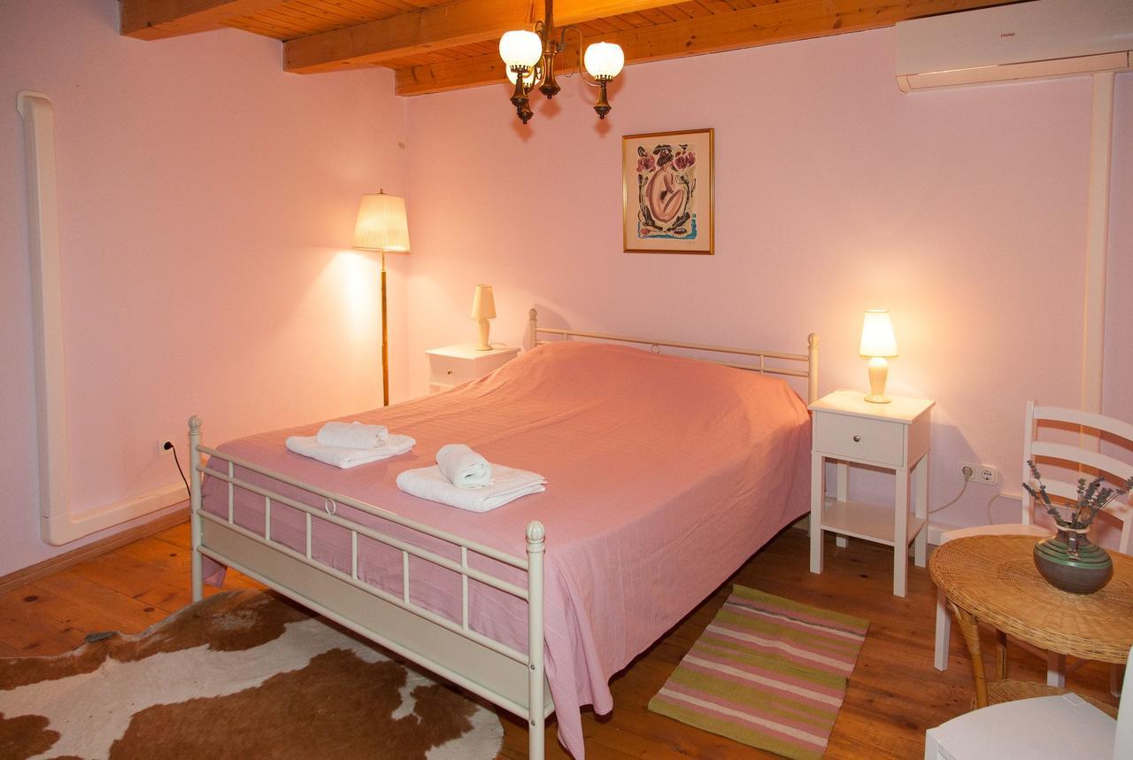 Villa Visnjan Residence Extérieur photo
